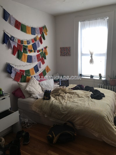 Allston Apartment for rent Studio 1 Bath Boston - $1,650