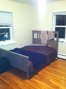 Brighton Apartment for rent 2 Bedrooms 1 Bath Boston - $2,950