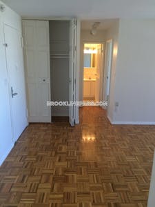 Brookline Apartment for rent 1 Bedroom 1 Bath Boston University - $3,300
