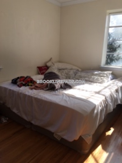 Brookline Apartment for rent 2 Bedrooms 1 Bath  Coolidge Corner - $3,860