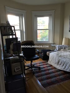 Brookline Apartment for rent 1 Bedroom 1 Bath Washington Square - $2,200