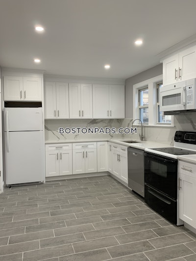 Brighton Spacious 4BD 1BA Cleveland Circle House Boston - $4,400