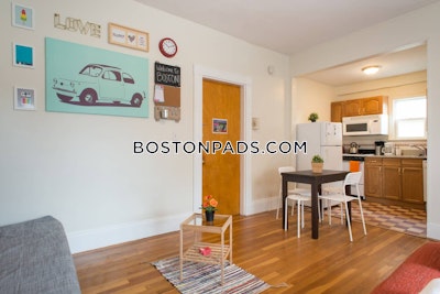 Allston/brighton Border Studio 1 Bath Boston - $2,450