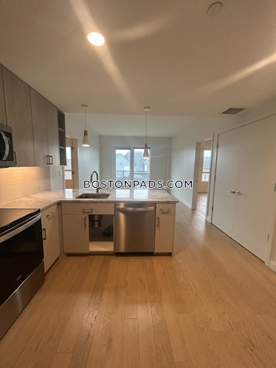 Allston New Construction 2 Bed 2 Bath Unit in Allston Boston - $5,000 No Fee