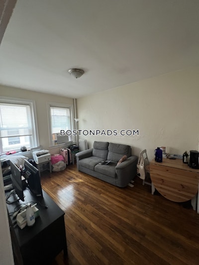 Allston/brighton Border 2 Bed 1 Bath BOSTON Boston - $2,995 50% Fee