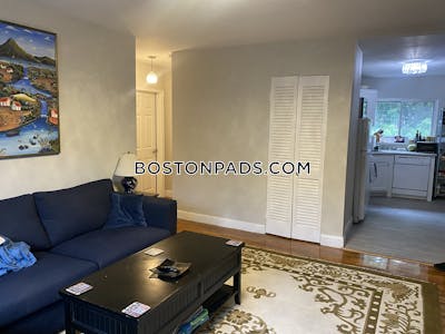 Brighton 2 Beds 1 Bath Boston - $3,000