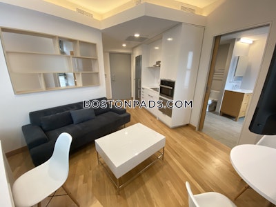 Cambridge Studio 1 Bath  Harvard Square - $3,925