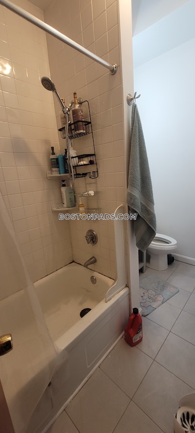 Mission Hill 6 Bed 4 Bath BOSTON Boston - $8,900