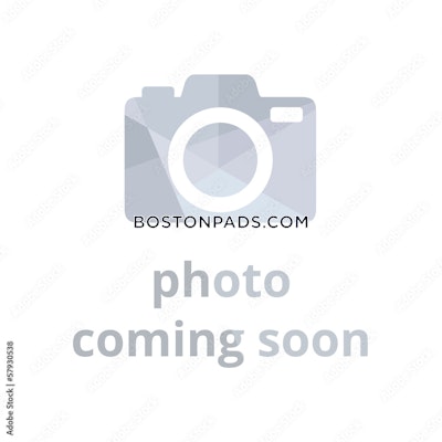 Allston 2 Bed 1 Bath BOSTON Boston - $2,900