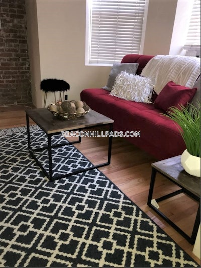 South End Apartment for rent Studio 1 Bath Boston - $2,750 50% Fee