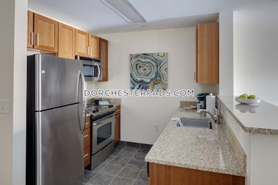 Dorchester Apartment for rent Studio 1 Bath Boston - $6,159 No Fee