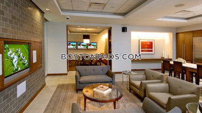 Downtown Apartment for rent 1 Bedroom 1 Bath Boston - $4,195