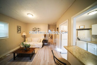 Fort Hill 1 Bed 1 Bath Boston - $2,085