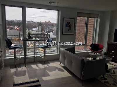 Brighton Apartment for rent 2 Bedrooms 2 Baths Boston - $4,935 No Fee