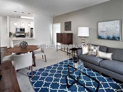 Newton Apartment for rent 1 Bedroom 1 Bath  Chestnut Hill - $3,950