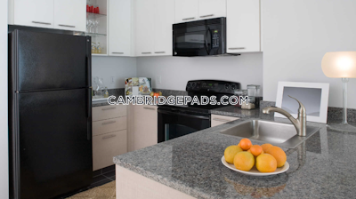 Cambridge Stunning Studio 1 Bath  Kendall Square - $3,261