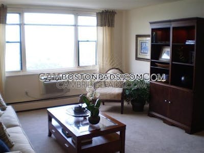 Cambridge Apartment for rent 3 Bedrooms 1.5 Baths  Mt. Auburn/brattle/ Fresh Pond - $3,823