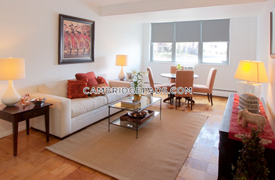Cambridge Apartment for rent Studio 1 Bath  Porter Square - $2,545 No Fee