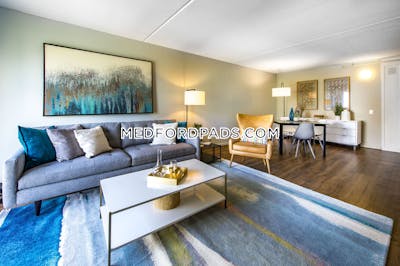 Medford Incredible 1 Bed 1 Bath on Mystic Valley Parkway  Wellington - $2,366 No Fee