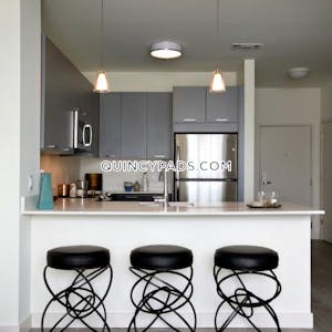 Quincy Apartment for rent 1 Bedroom 1 Bath  Quincy Center - $2,832 No Fee