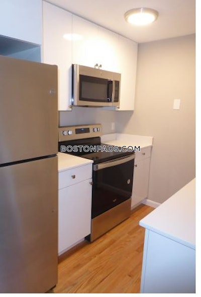 Jamaica Plain Apartment for rent 2 Bedrooms 1 Bath Boston - $3,400 No Fee