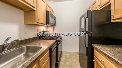 Cambridge Apartment for rent Studio 1 Bath  Porter Square - $2,442 No Fee