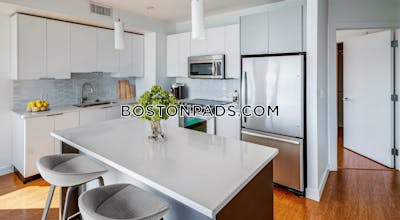 Downtown Apartment for rent Studio 1 Bath Boston - $3,273
