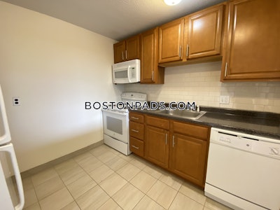 Allston Apartment for rent 1 Bedroom 1 Bath Boston - $2,750 No Fee