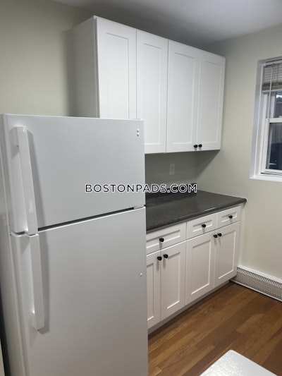 Somerville Apartment for rent Studio 1 Bath  Davis Square - $2,585 No Fee