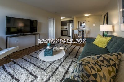 Brookline Apartment for rent 2 Bedrooms 1.5 Baths  Boston University - $3,550 No Fee