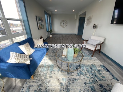 Dorchester/south Boston Border 1 bedroom 1 baths in BOSTON Boston - $2,950