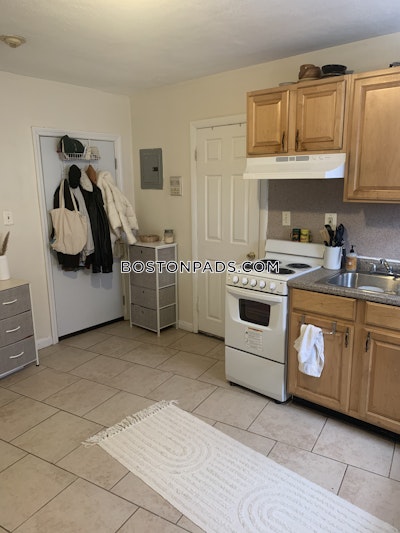 Brighton Apartment for rent 1 Bedroom 1 Bath Boston - $1,495 No Fee