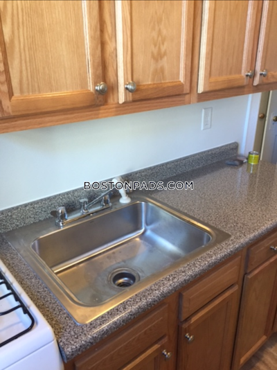 Allston/brighton Border Apartment for rent 1 Bedroom 1 Bath Boston - $2,625 No Fee