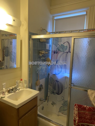 Allston Apartment for rent 1 Bedroom 1 Bath Boston - $2,750
