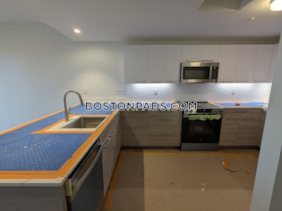 Allston Apartment for rent 2 Bedrooms 2.5 Baths Boston - $5,500 No Fee