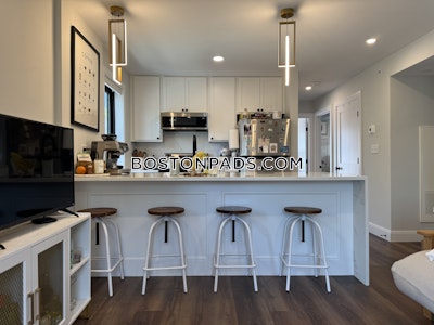Brighton 3 bedroom 3 baths in BOSTON Boston - $5,100