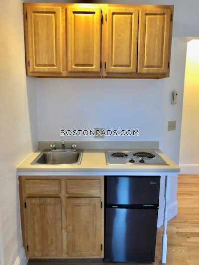 Brookline Apartment for rent Studio 1 Bath  Boston University - $2,095