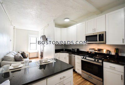 Fenway/kenmore Apartment for rent Studio 1 Bath Boston - $3,475 50% Fee