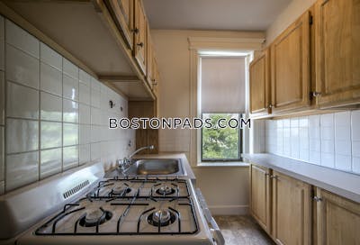 Allston Apartment for rent 1 Bedroom 1 Bath Boston - $2,400 No Fee