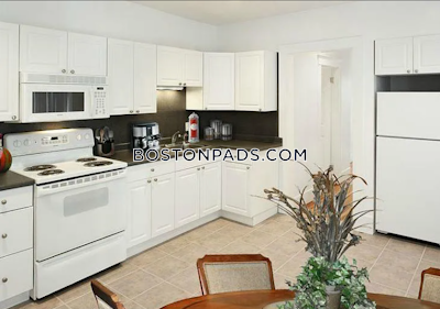 Allston/brighton Border Apartment for rent 2 Bedrooms 1 Bath Boston - $2,950