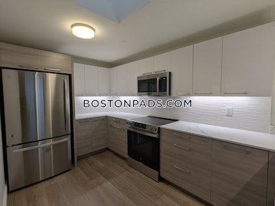 Allston Apartment for rent 2 Bedrooms 2.5 Baths Boston - $5,250 No Fee