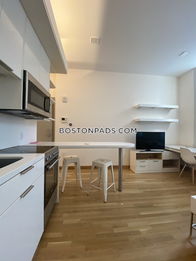 Cambridge Studio 1 Bath  Harvard Square - $3,250
