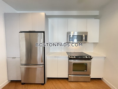 Downtown Apartment for rent 1 Bedroom 1 Bath Boston - $4,109