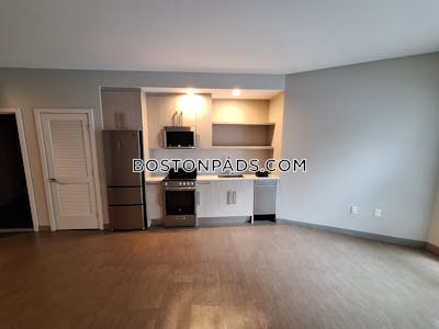 Jamaica Plain Studio  baths Luxury in BOSTON Boston - $2,785