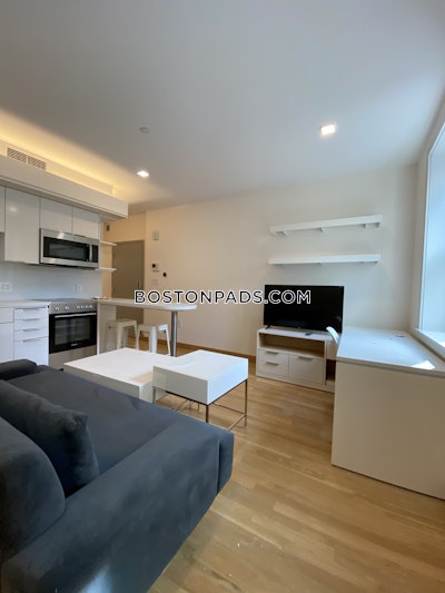 Cambridge Beautiful Studio 1 Bath  Harvard Square - $3,775