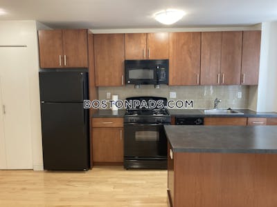 Brighton Apartment for rent 1 Bedroom 1 Bath Boston - $2,950 No Fee