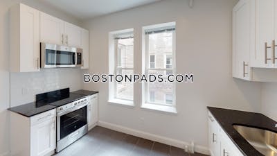 Brighton Apartment for rent 1 Bedroom 1 Bath Boston - $2,725 No Fee