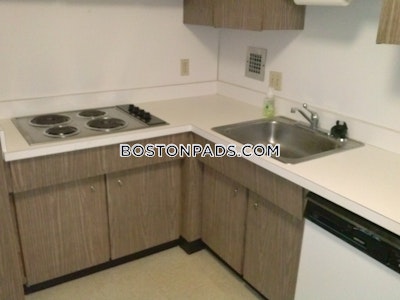 Brighton Apartment for rent 1 Bedroom 1 Bath Boston - $2,350 No Fee