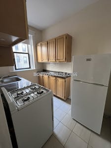 Allston Apartment for rent 1 Bedroom 1 Bath Boston - $2,600