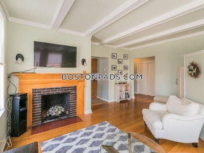 Brighton 1 Bed 1 Bath BOSTON Boston - $3,100 No Fee
